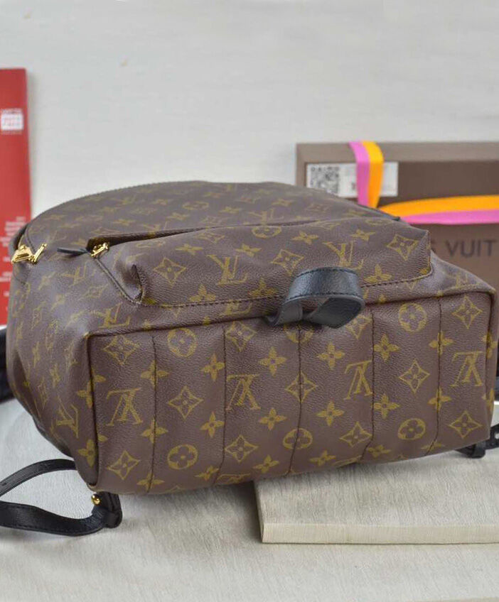 Louis vuitton Palm Springs Backpack PM M41561 Black